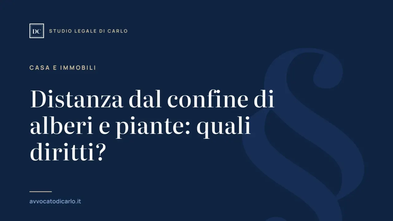 Distanza dal confine di alberi e piante: quali diritti?