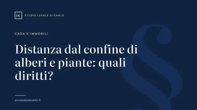Distanza dal confine di alberi e piante: quali diritti?