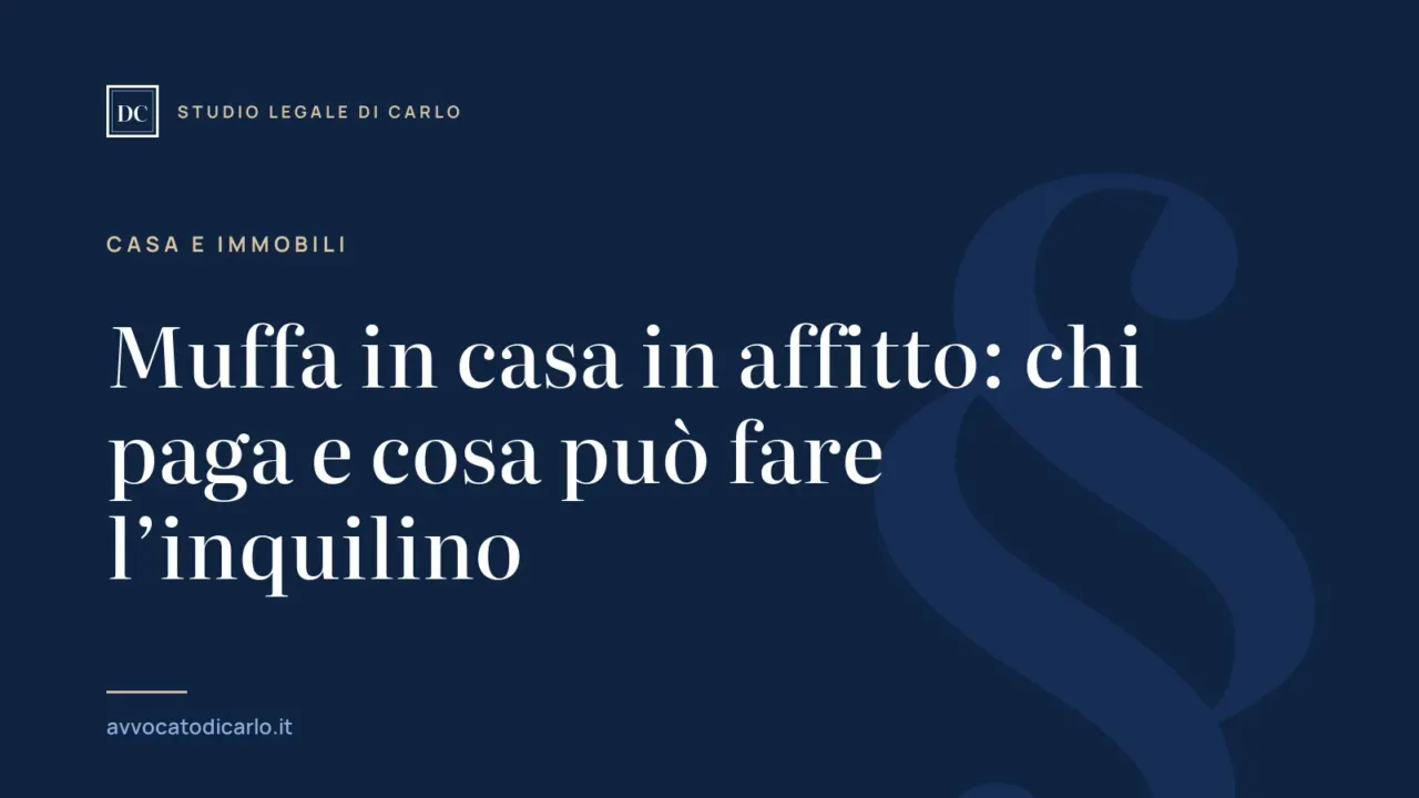 Muffa in casa in affitto: chi paga e cosa può fare l’inquilino