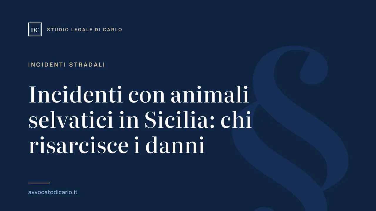 Incidenti con animali selvatici in Sicilia: chi risarcisce i danni