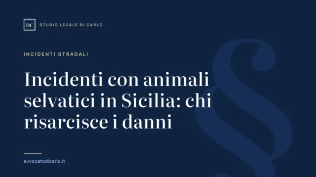 Incidenti con animali selvatici in Sicilia: chi risarcisce i danni